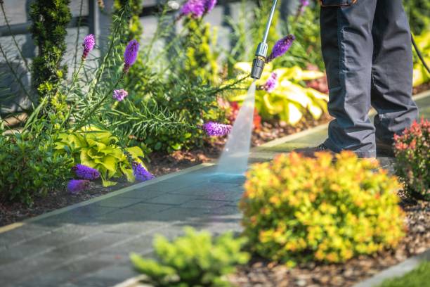 Best Driveway Pressure Washing  in East Atlantic Beach, NY
